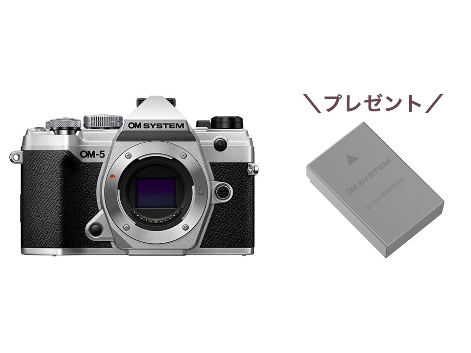【無くなり次第終了！】OM-5 ボディー シルバー