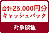 25000円