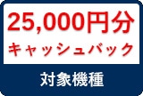 25000