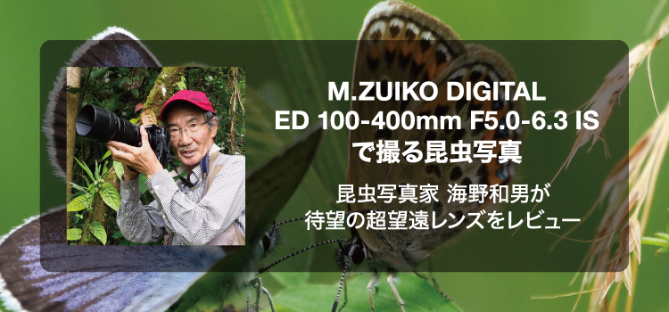 M.ZUIKO DIGITALED 100-400mm F5.0-6.3 ISで撮る昆虫写真 昆虫写真家 海野和男が待望の超望遠レンズをレビュー