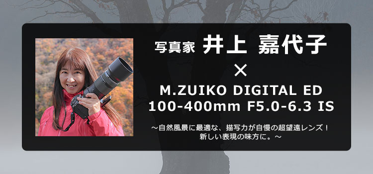 基本情報｜M.ZUIKO DIGITAL ED 100-400mm F5.0-6.3 IS｜M.ZUIKO