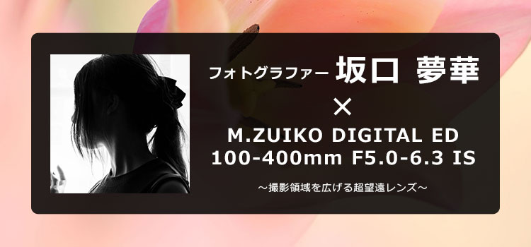 基本情報｜M.ZUIKO DIGITAL ED 100-400mm F5.0-6.3 IS｜M.ZUIKO