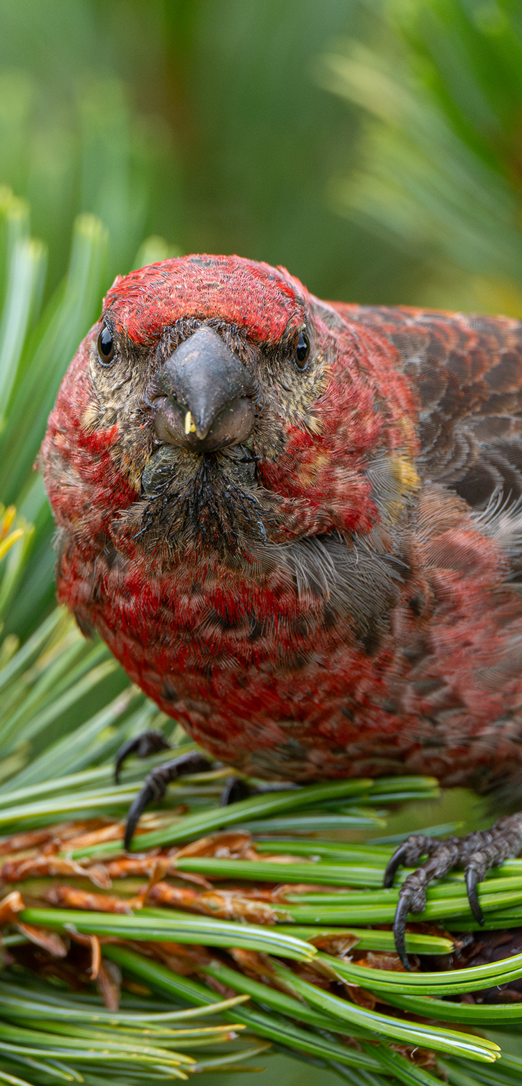 基本情報｜M.ZUIKO DIGITAL ED 100-400mm F5.0-6.3 IS Ⅱ｜M.ZUIKO