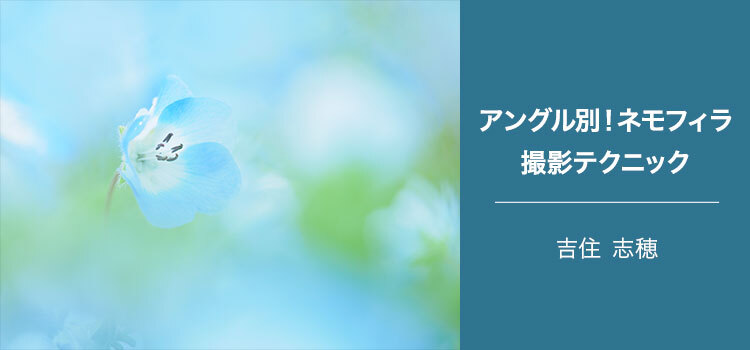 写真家 吉住 志穂～アングル別！ネモフィラ撮影テクニック～