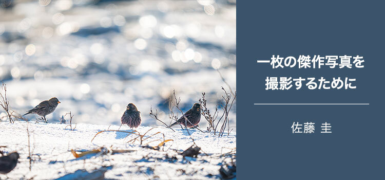 【特集】写真家 佐藤 圭～一枚の傑作写真を撮影するために～