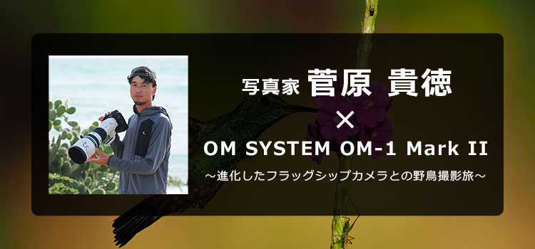 【特集】写真家 菅原 貴徳 × OM SYSTEMOM-1 Mark II～進化したフラッグシップカメラとの野鳥撮影旅～