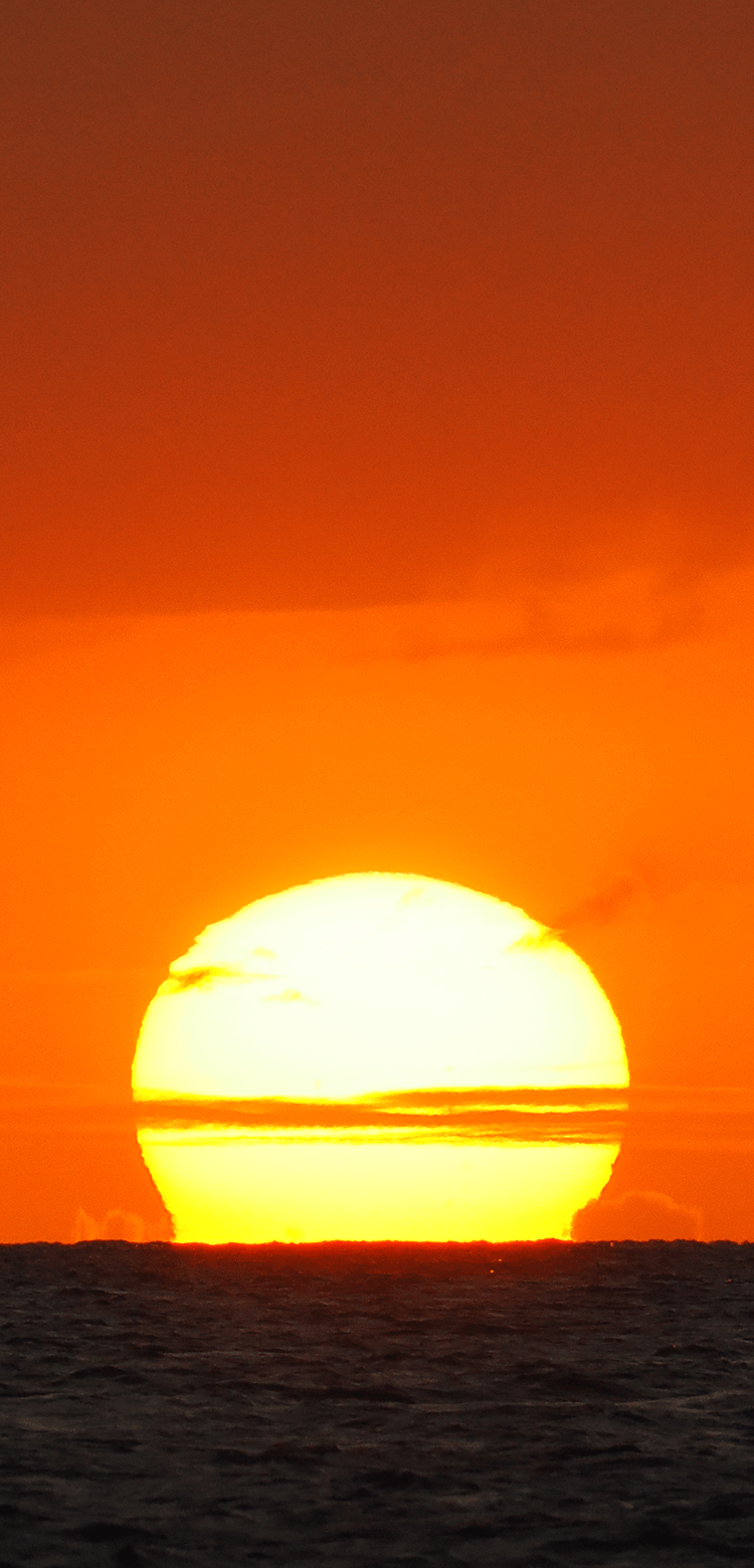 基本情報｜M.ZUIKO DIGITAL ED 150-600mm F5.0-6.3 IS｜M.ZUIKO