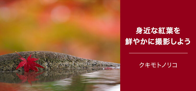 写真家 クキモト ノリコ～身近な紅葉を鮮やかに撮影しよう～