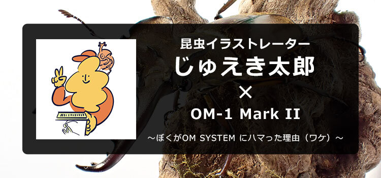 OM-1 Mark II × 昆虫イラストレーター じゅえき太郎～ぼくがOM SYSTEM にハマった理由（ワケ）～