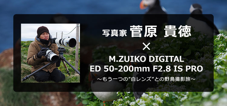 M.ZUIKO DIGITAL ED 50-200mm F2.8 IS PRO × 写真家 菅原 貴徳 ～もう一つの”白レンズ”との野鳥撮影旅～
