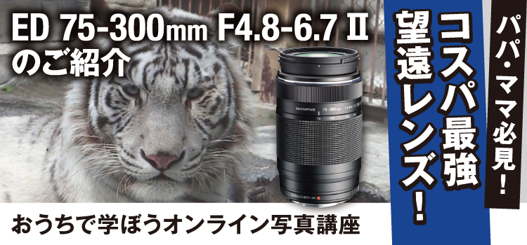 【国内全数検品】オリンパスM.ZUIKO ED75-300mm F4.8-6.7Ⅱ レンズ(ズーム)