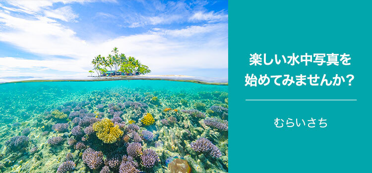 【特集】写真家 むらいさち～楽しい水中写真を始めてみませんか？～