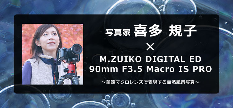 写真家 喜多 規子 × M.ZUIKO DIGITAL ED 90mm F3.5 Macro IS PRO
～望遠マクロレンズで表現する自然風景写真～
