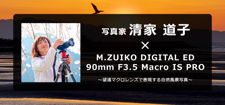 写真家 清家 道子 × M.ZUIKO DIGITAL ED 90mm F3.5 Macro IS PRO
～望遠マクロレンズで表現する自然風景写真～