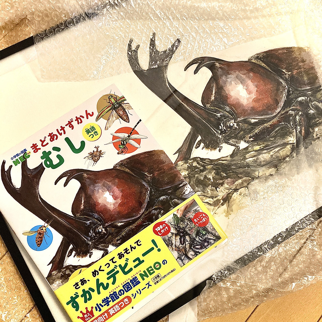 イラスト