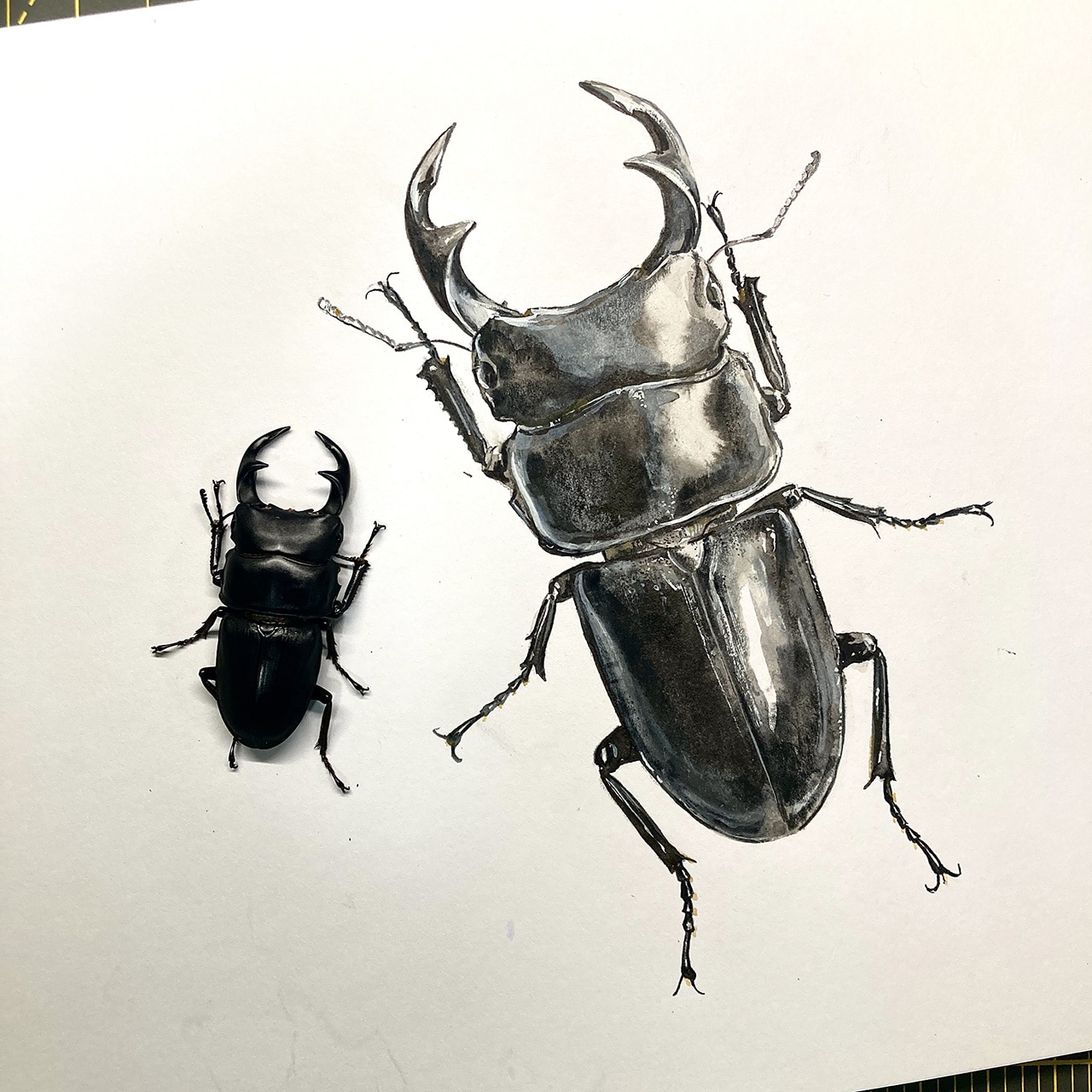 イラスト