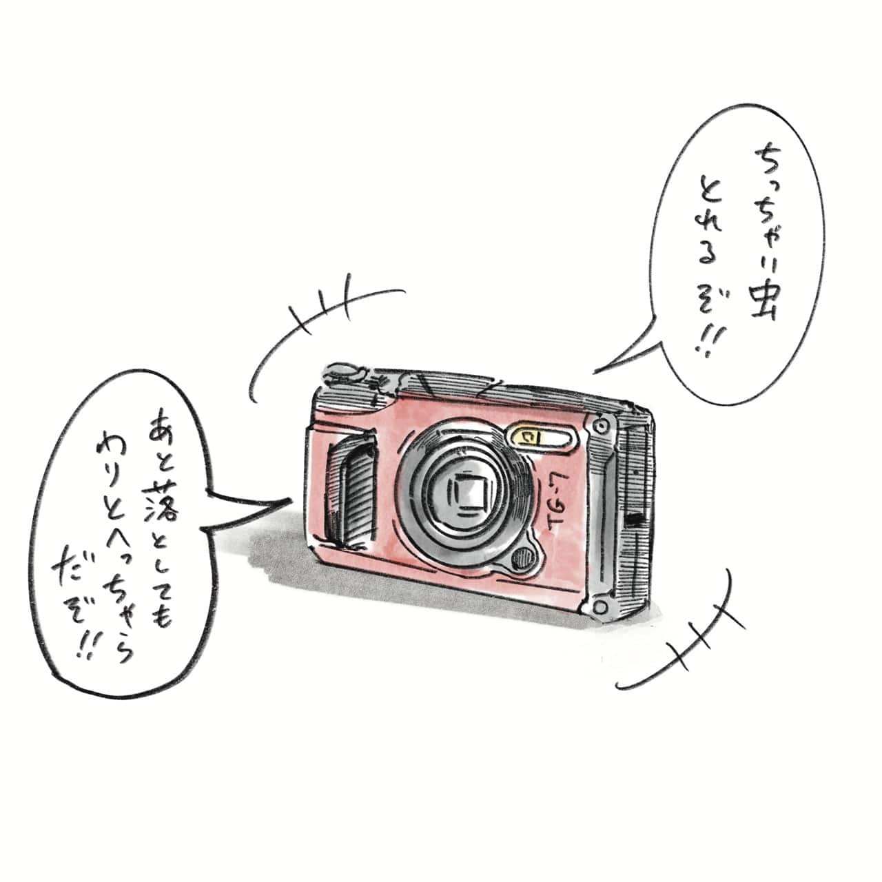 TG-7 イラスト