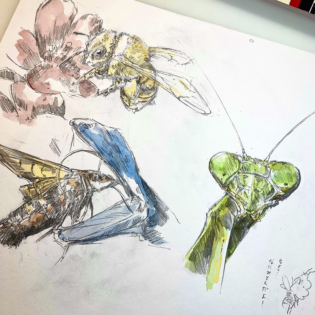 イラスト