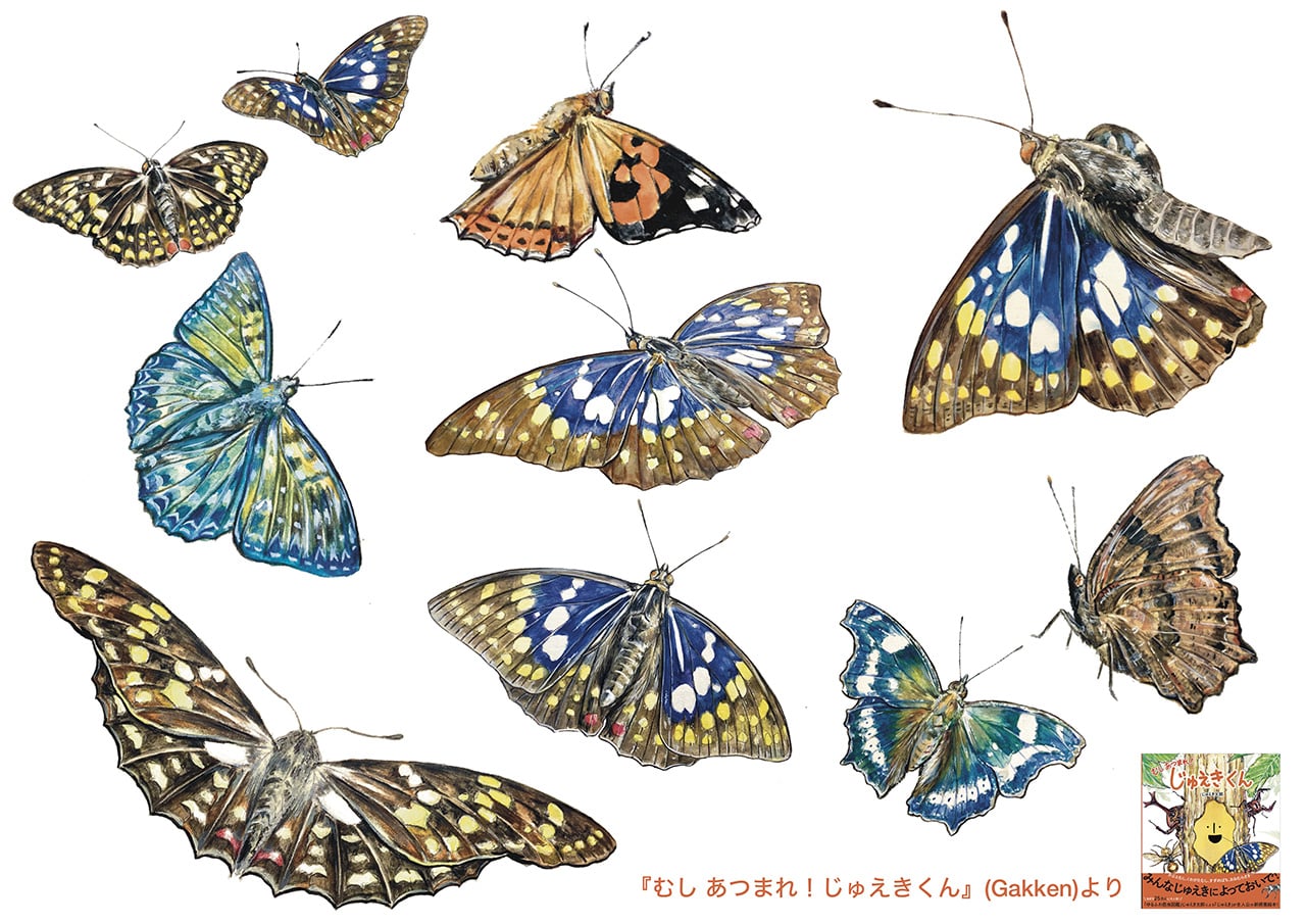 イラスト
