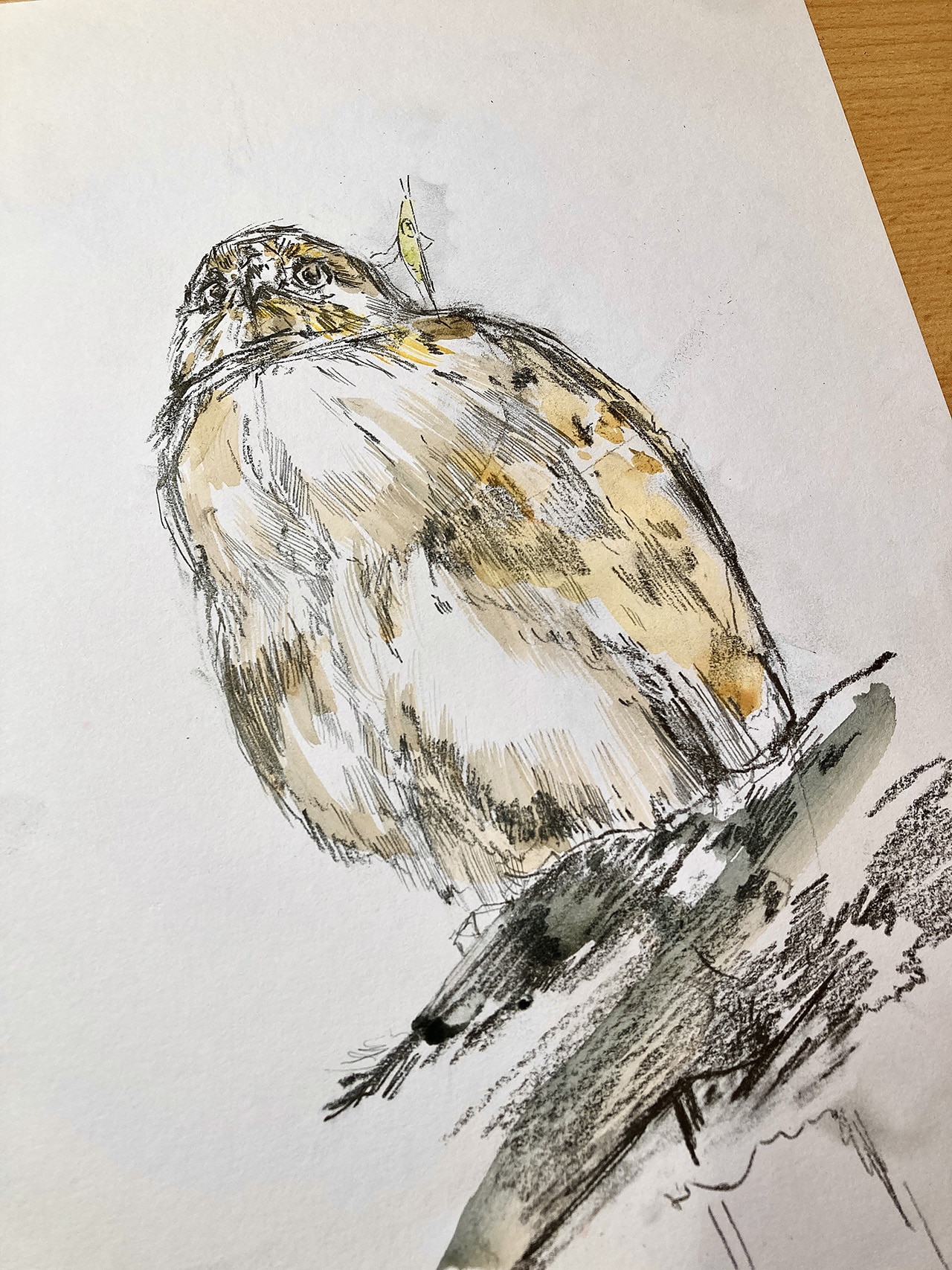 イラスト