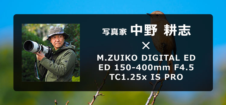 写真家 中野耕志 × M.ZUIKO DIGITAL ED 150-400mm F4.5 TC1.25x IS PRO 1000mm相当での手持ち撮影を可能にする超望遠PROレンズの魅力とは