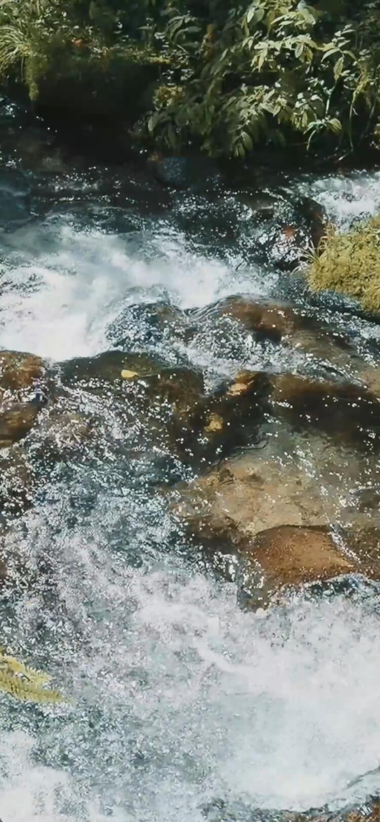 基本情報｜OM-1 Mark II｜OM｜OM-D｜デジタル一眼カメラ｜製品