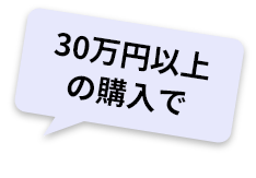 30万円以上の購入で