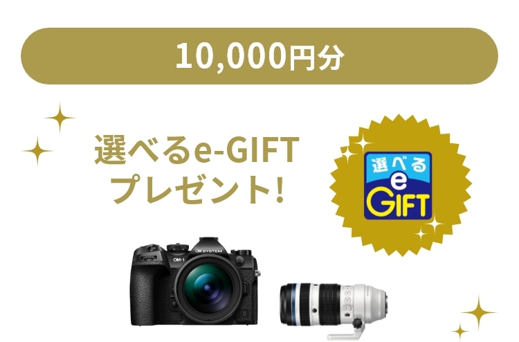 10,000円分！選べるe-GIFTプレゼント！